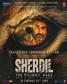 日落2021 封面图